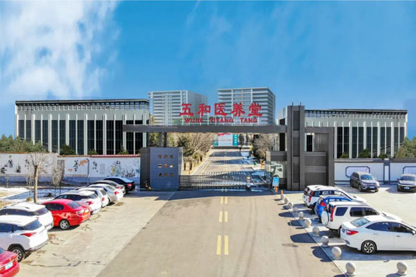 sunbet五和医养堂