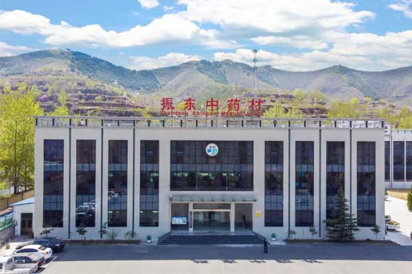 sunbet中药材